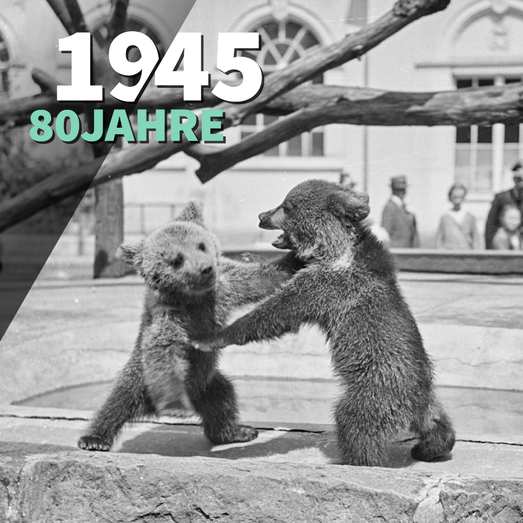 Webkacheln Dresden1945 3