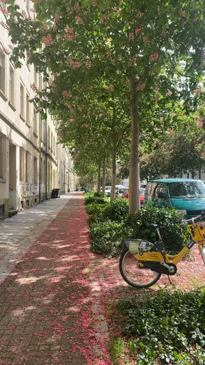 KI generiert: Das Bild zeigt eine von Bäumen gesäumte Straße mit rosafarbenen Blütenblättern auf dem Gehweg. Am rechten Rand steht ein gelbes Fahrrad inmitten von Grünflächen.